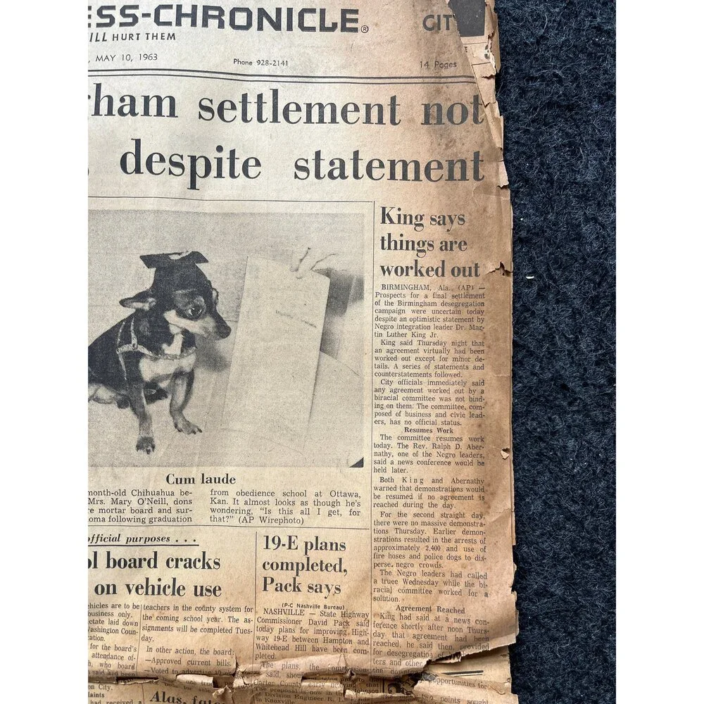 1963 Alabama Birmingham Riots and Bus Marches, US History, Civil Rights Black H